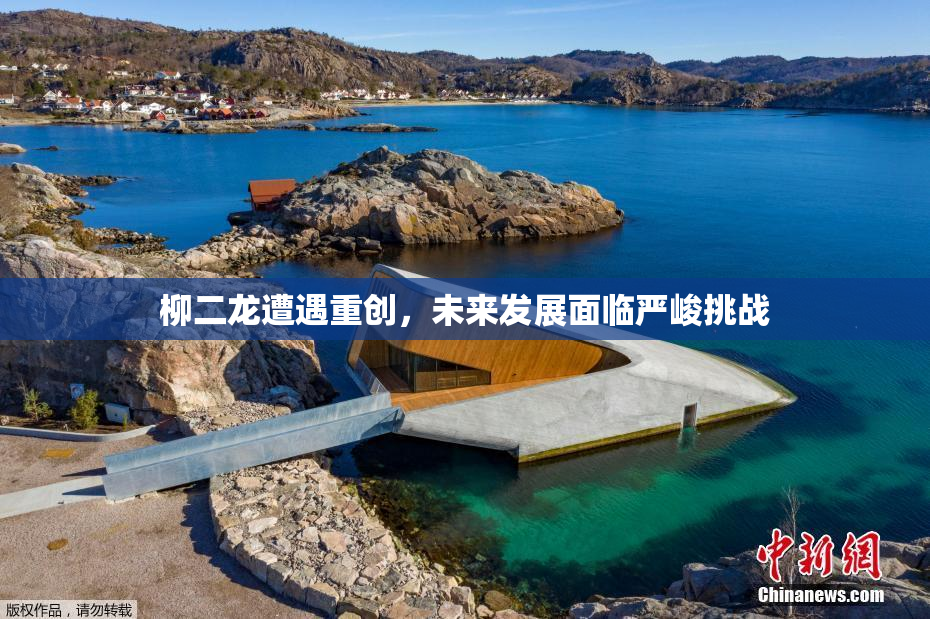 柳二龙遭遇重创，未来发展面临严峻挑战