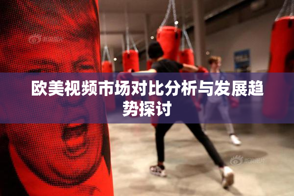 欧美视频市场对比分析与发展趋势探讨