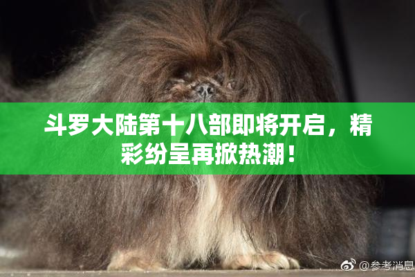 斗罗大陆第十八部即将开启，精彩纷呈再掀热潮！