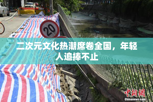 二次元文化热潮席卷全国，年轻人追捧不止