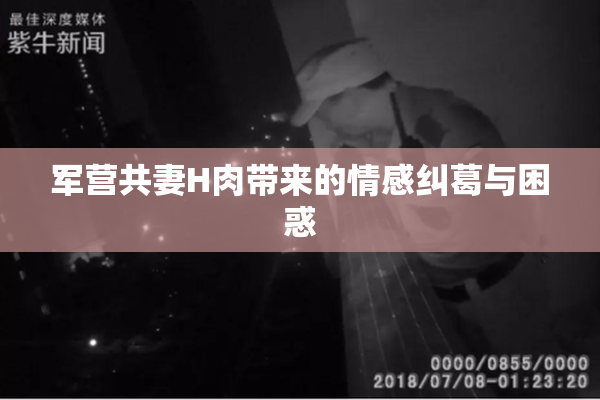 军营共妻H肉带来的情感纠葛与困惑