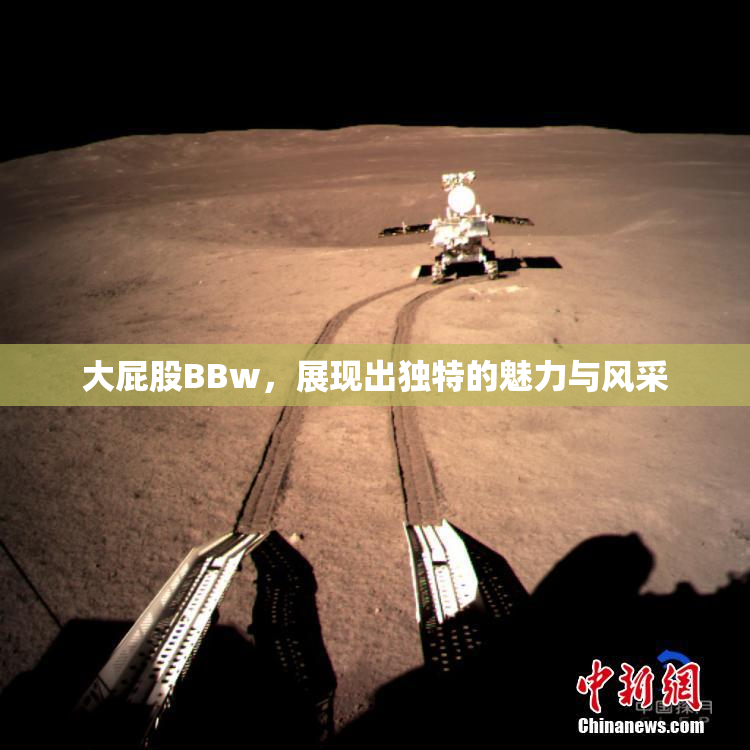 大屁股BBw，展现出独特的魅力与风采