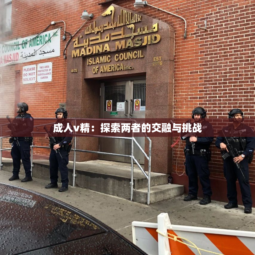 成人v精：探索两者的交融与挑战