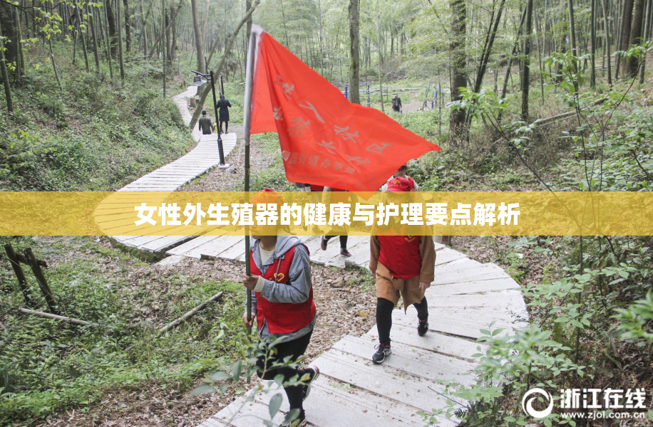 女性外生殖器的健康与护理要点解析
