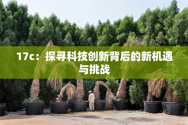 17c：探寻科技创新背后的新机遇与挑战