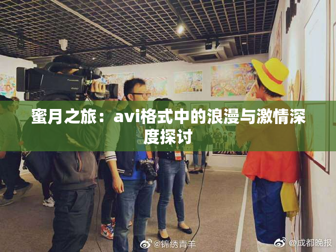 蜜月之旅：avi格式中的浪漫与激情深度探讨