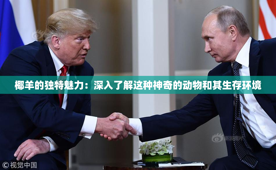 椰羊的独特魅力：深入了解这种神奇的动物和其生存环境