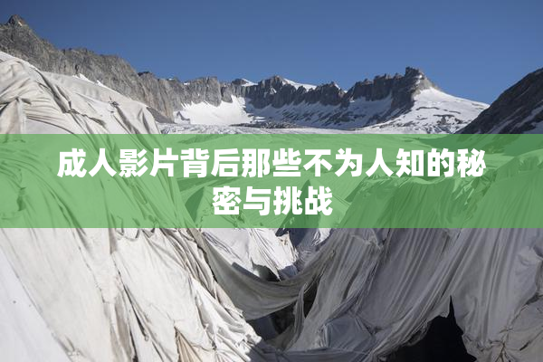 成人影片背后那些不为人知的秘密与挑战