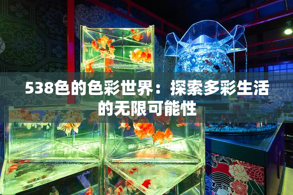 538色的色彩世界：探索多彩生活的无限可能性