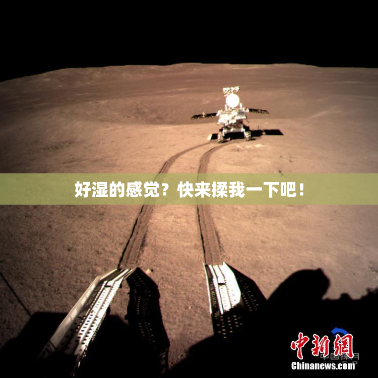 好湿的感觉？快来揉我一下吧！