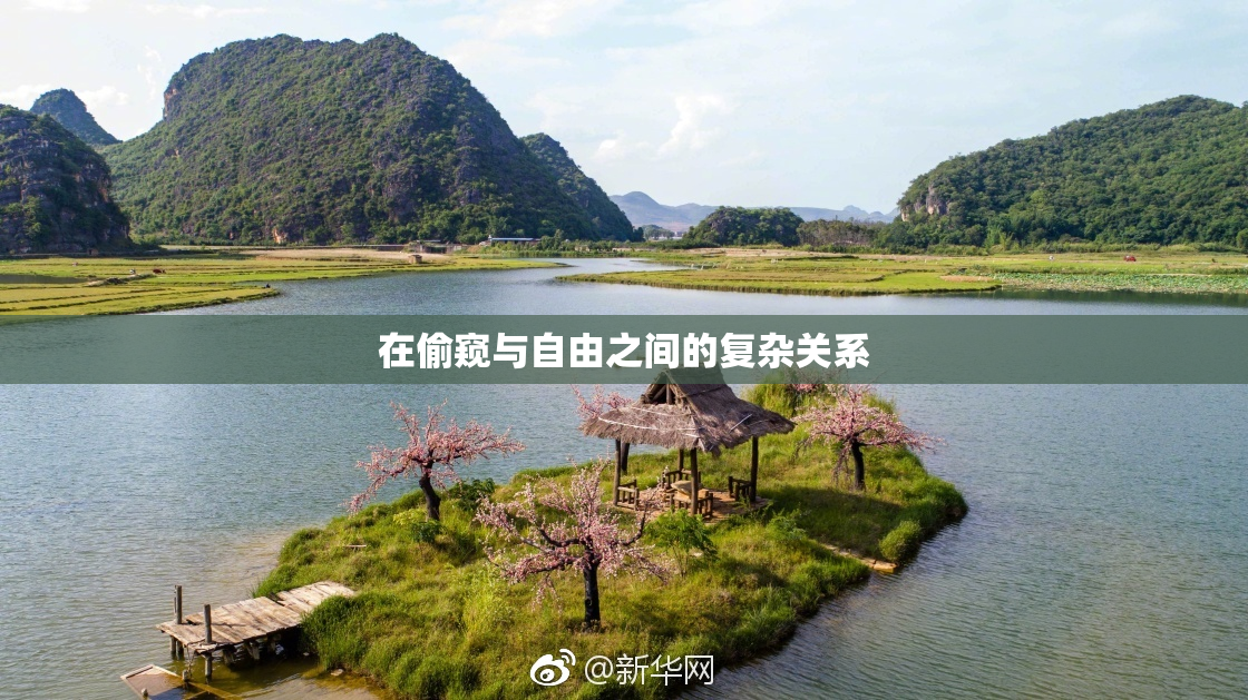 在偷窥与自由之间的复杂关系