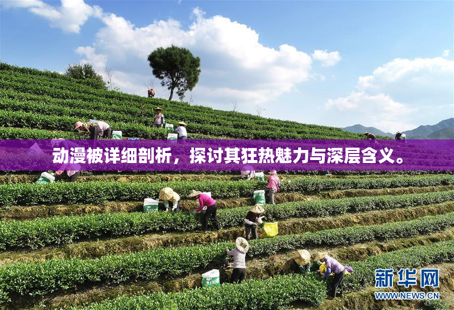 动漫被详细剖析，探讨其狂热魅力与深层含义。