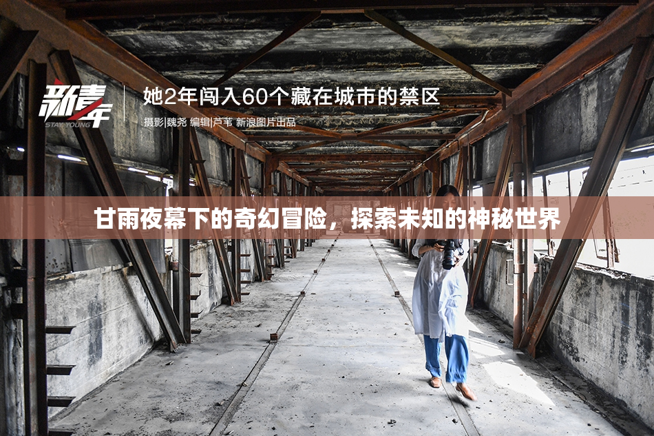 甘雨夜幕下的奇幻冒险，探索未知的神秘世界