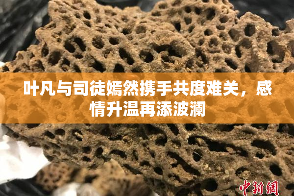 叶凡与司徒嫣然携手共度难关，感情升温再添波澜