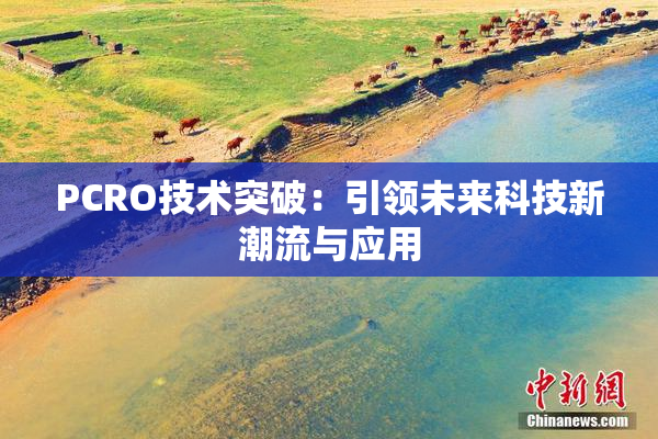PCRO技术突破：引领未来科技新潮流与应用