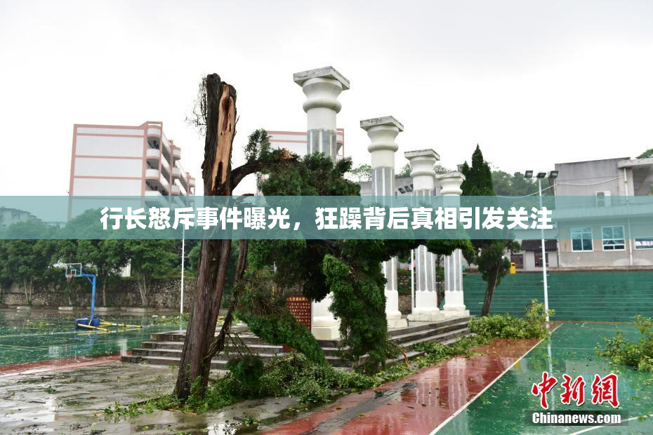 行长怒斥事件曝光，狂躁背后真相引发关注