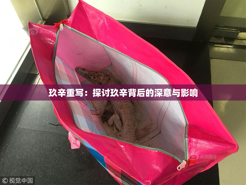 玖辛重写：探讨玖辛背后的深意与影响