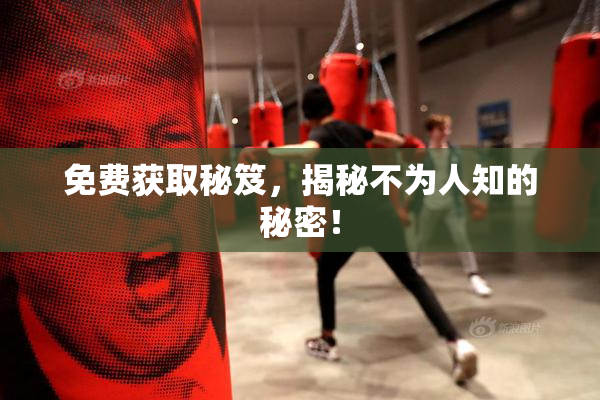 免费获取秘笈，揭秘不为人知的秘密！