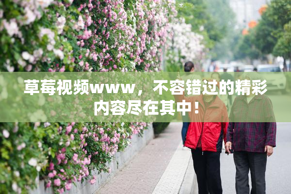 草莓视频www，不容错过的精彩内容尽在其中！