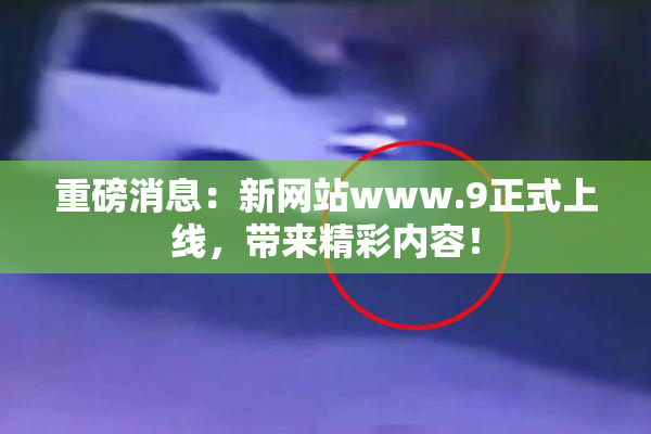重磅消息：新网站www.9正式上线，带来精彩内容！