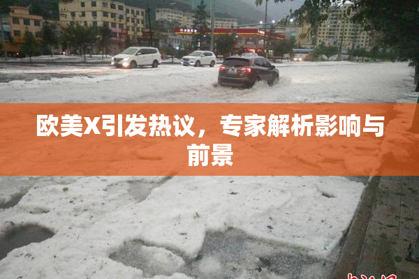 欧美X引发热议，专家解析影响与前景