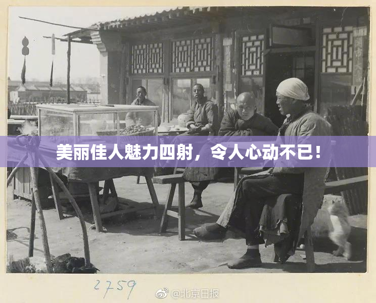 美丽佳人魅力四射，令人心动不已！