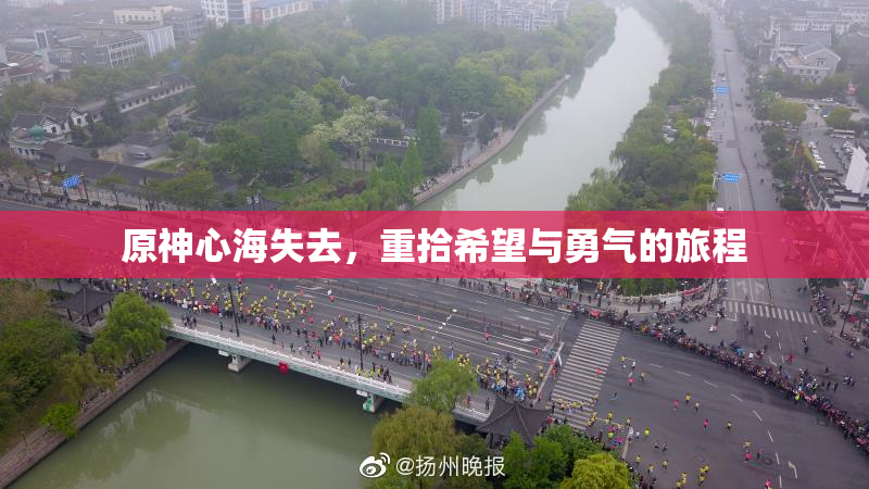 原神心海失去，重拾希望与勇气的旅程