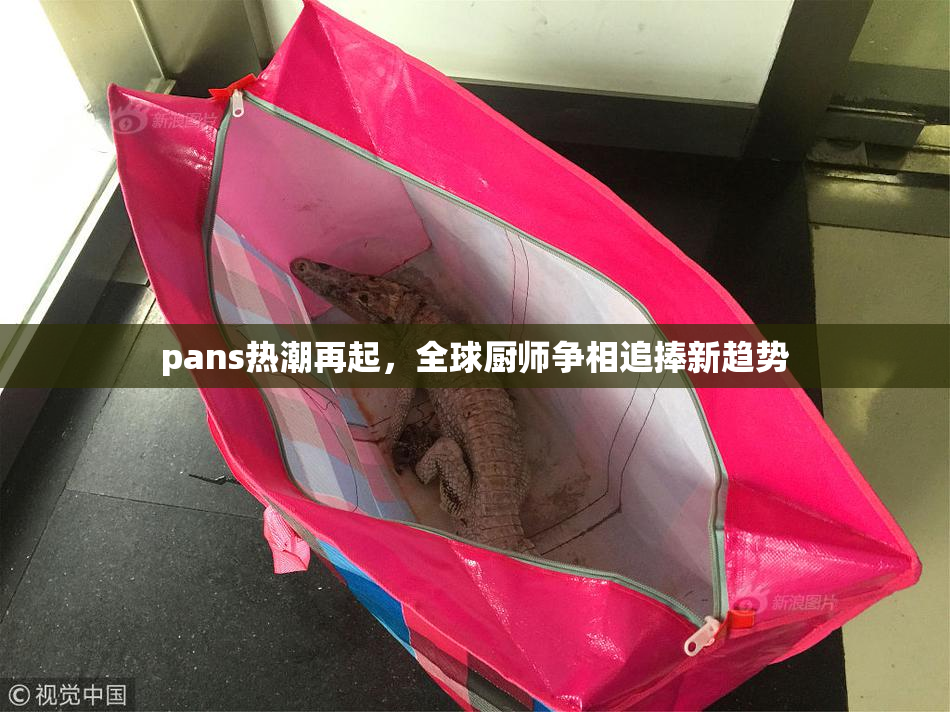 pans热潮再起，全球厨师争相追捧新趋势
