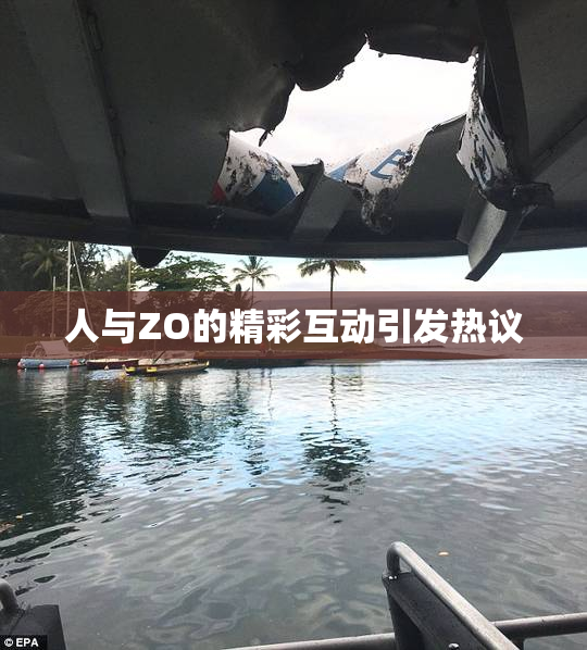 人与ZO的精彩互动引发热议