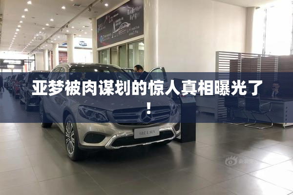 亚梦被肉谋划的惊人真相曝光了！