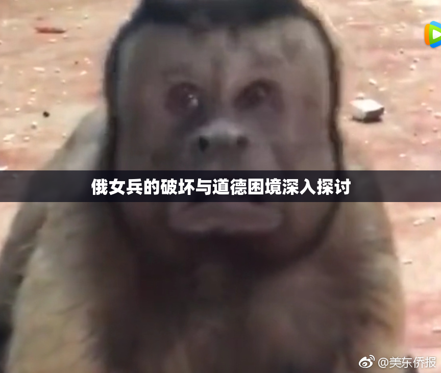 俄女兵的破坏与道德困境深入探讨
