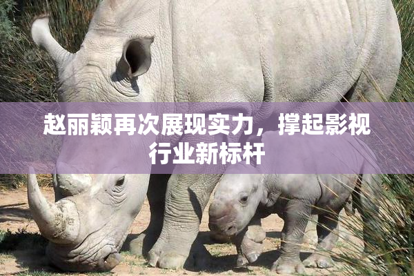 赵丽颖再次展现实力，撑起影视行业新标杆