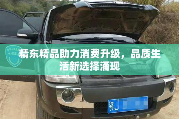 精东精品助力消费升级，品质生活新选择涌现