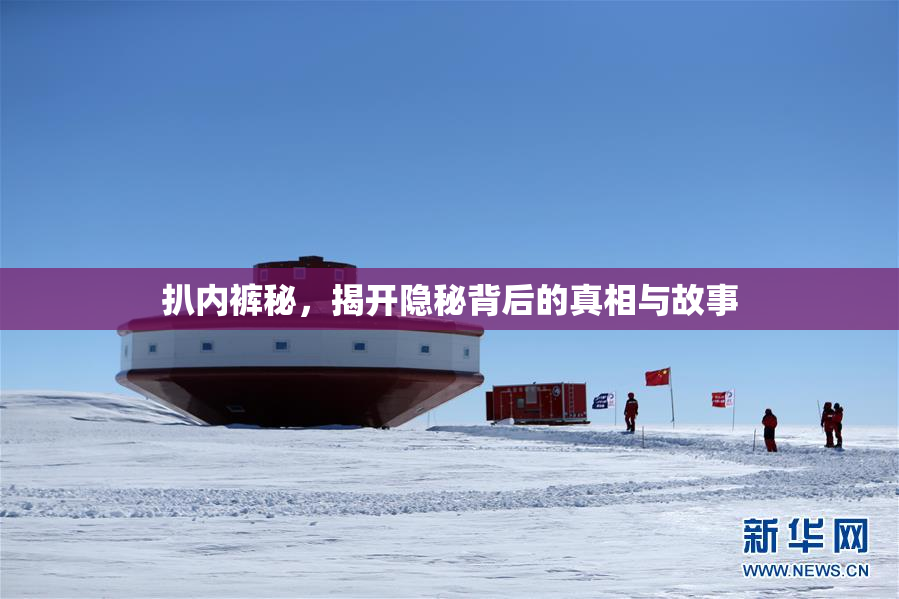 扒内裤秘，揭开隐秘背后的真相与故事