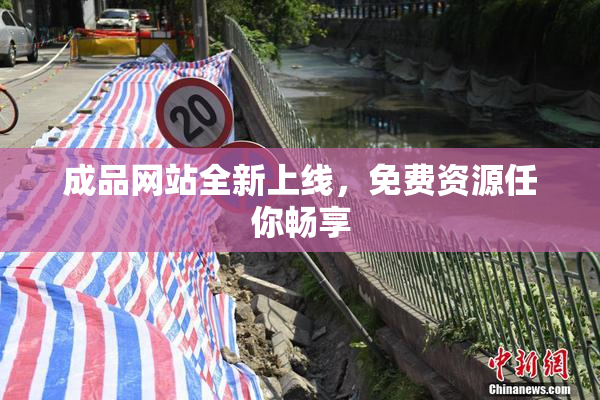 成品网站全新上线，免费资源任你畅享