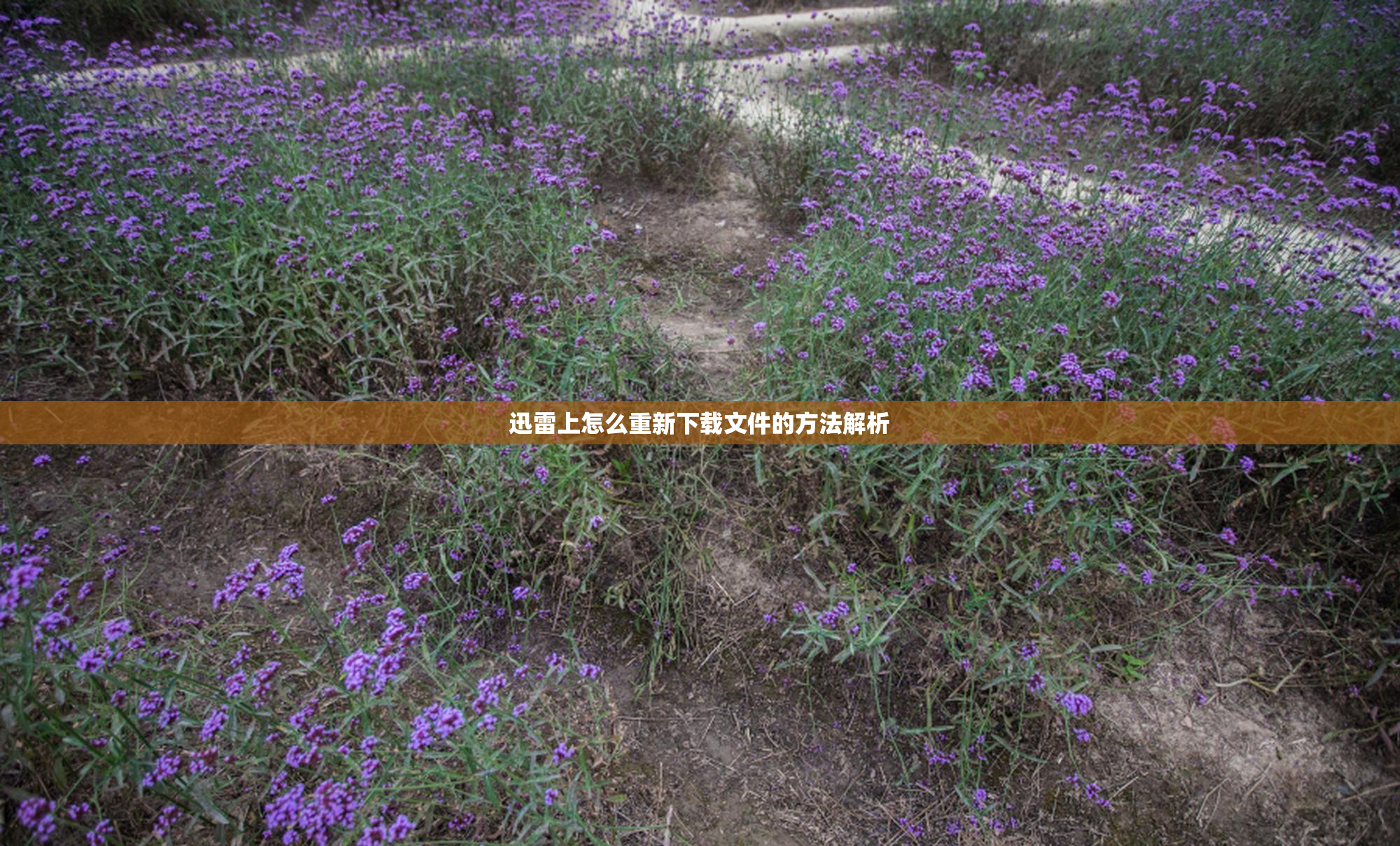 迅雷上怎么重新下载文件的方法解析