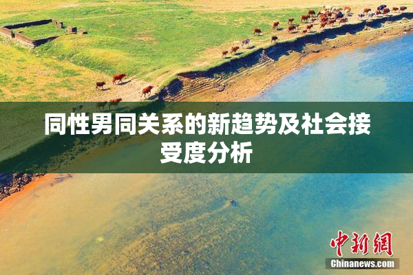 同性男同关系的新趋势及社会接受度分析