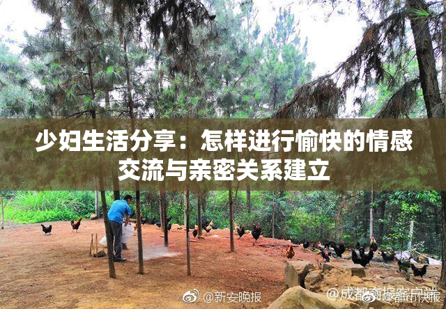 少妇生活分享：怎样进行愉快的情感交流与亲密关系建立