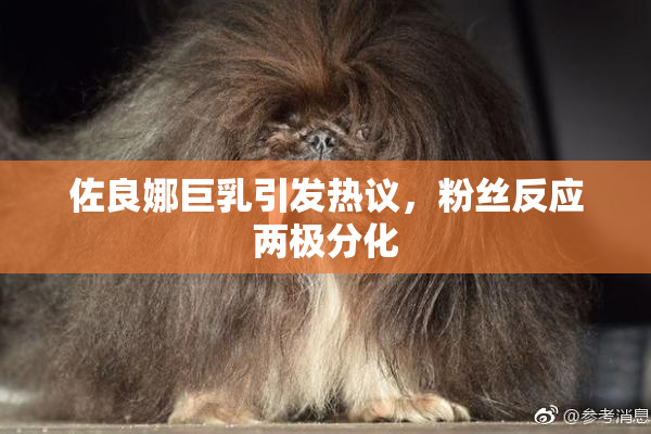佐良娜巨乳引发热议，粉丝反应两极分化