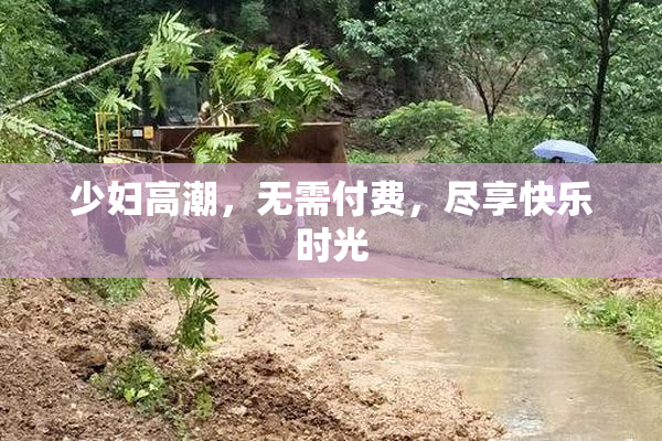 少妇高潮，无需付费，尽享快乐时光