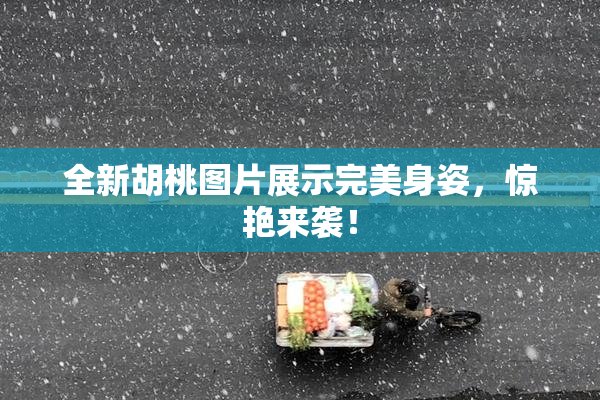 全新胡桃图片展示完美身姿，惊艳来袭！