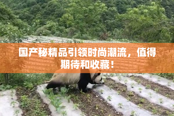 国产秘精品引领时尚潮流，值得期待和收藏！