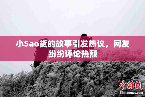 小Sao货的故事引发热议，网友纷纷评论热烈