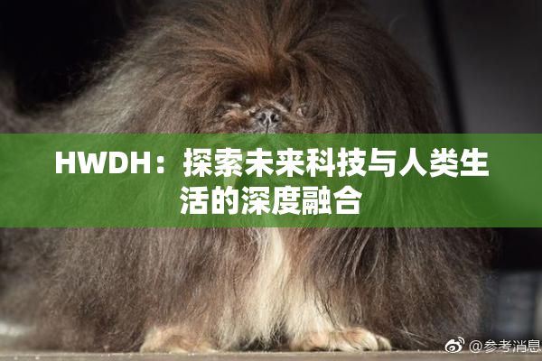 HWDH：探索未来科技与人类生活的深度融合
