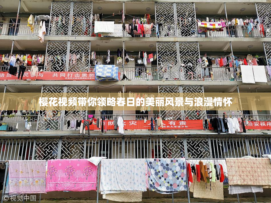 樱花视频带你领略春日的美丽风景与浪漫情怀