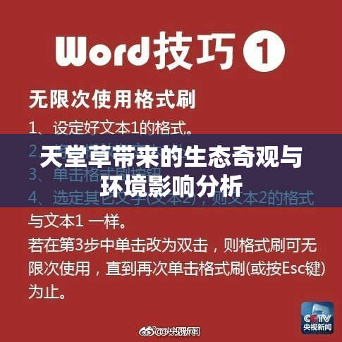 天堂草带来的生态奇观与环境影响分析
