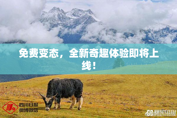 免费变态，全新奇趣体验即将上线！