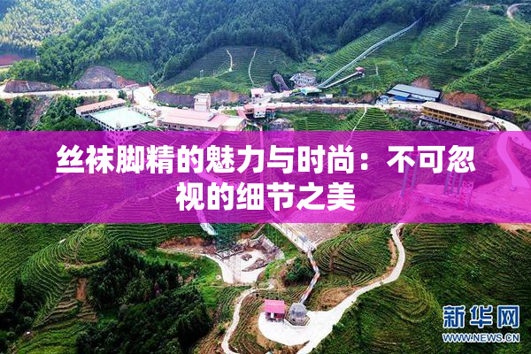 丝袜脚精的魅力与时尚：不可忽视的细节之美