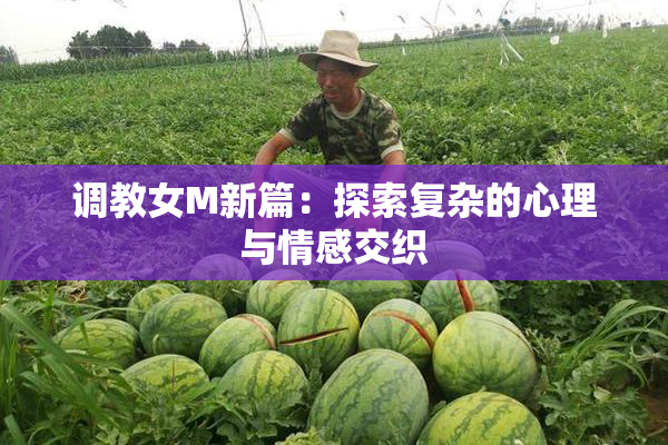 调教女M新篇：探索复杂的心理与情感交织