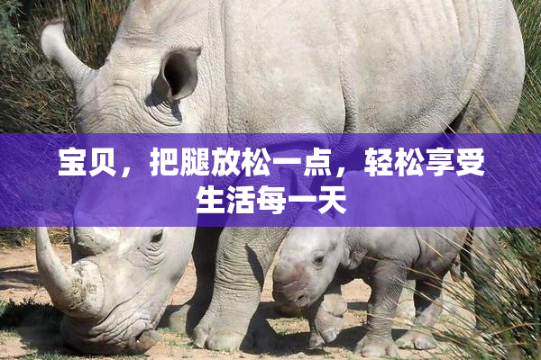 宝贝，把腿放松一点，轻松享受生活每一天